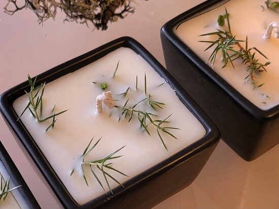 Svece traukā ar kadiķa smaržu