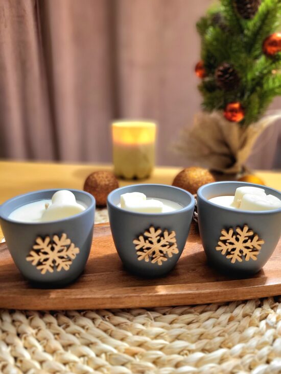 Svece ar dzērvenes apelsīna kanēļa smaržu